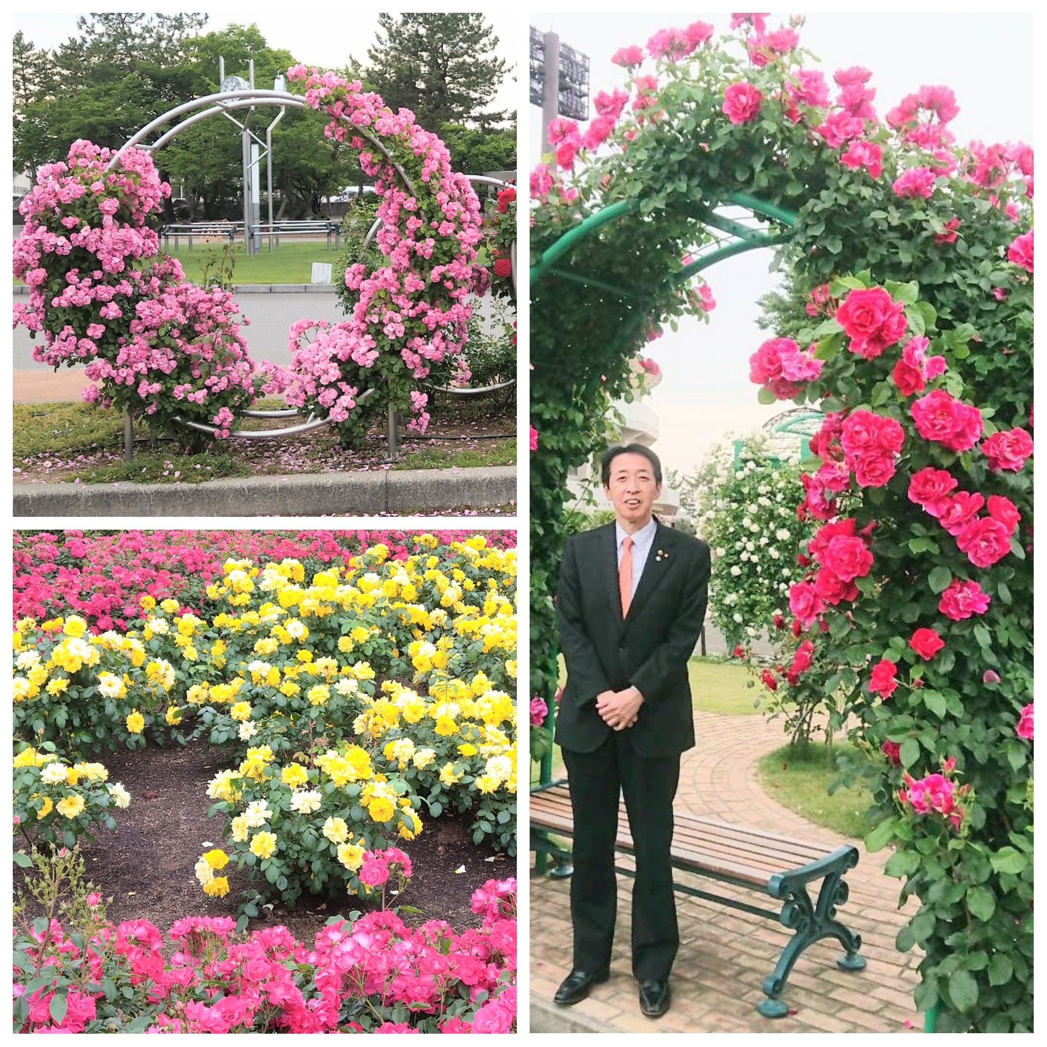 PhotoGrid_Plus_1748246517690