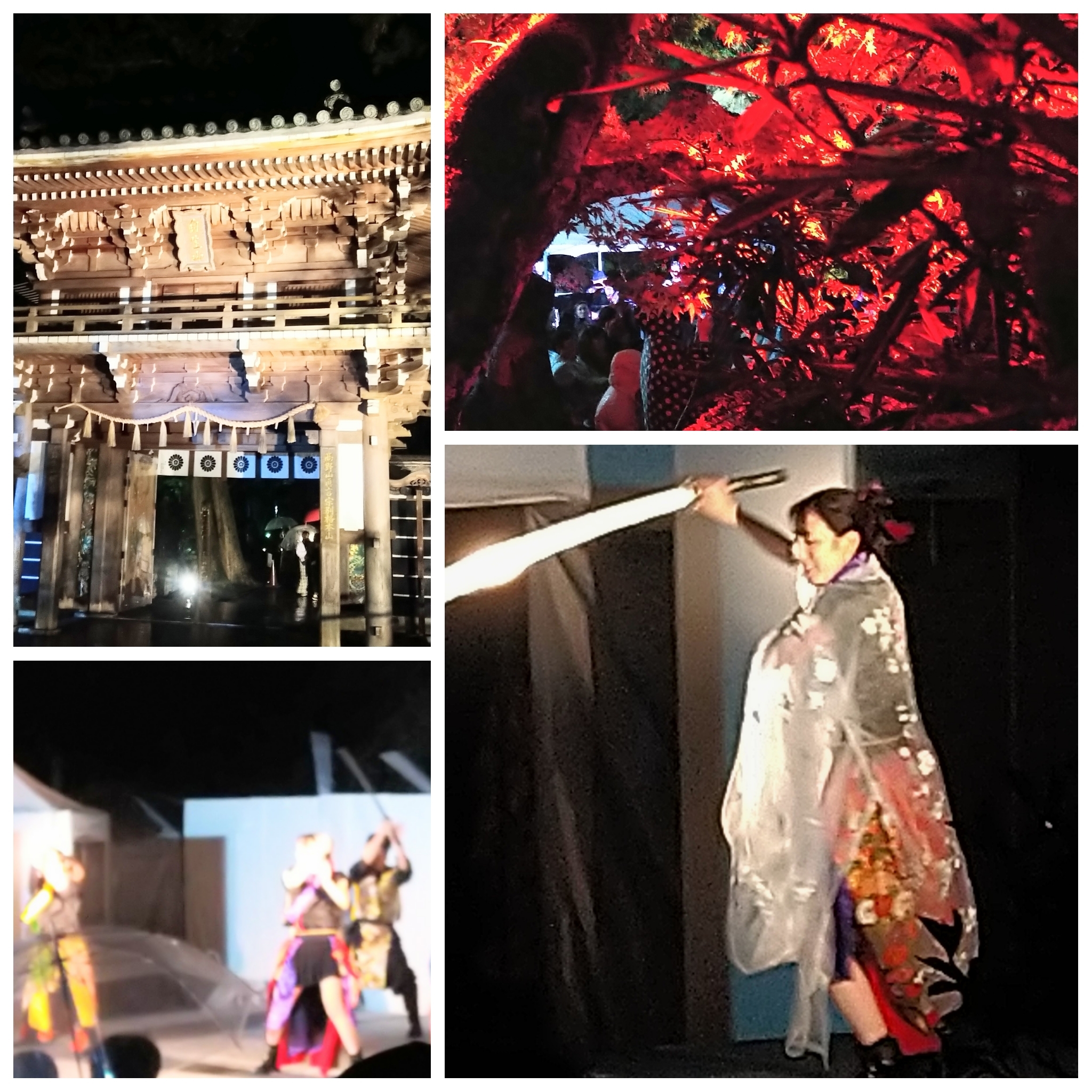 PhotoGrid_Plus_1761997203088