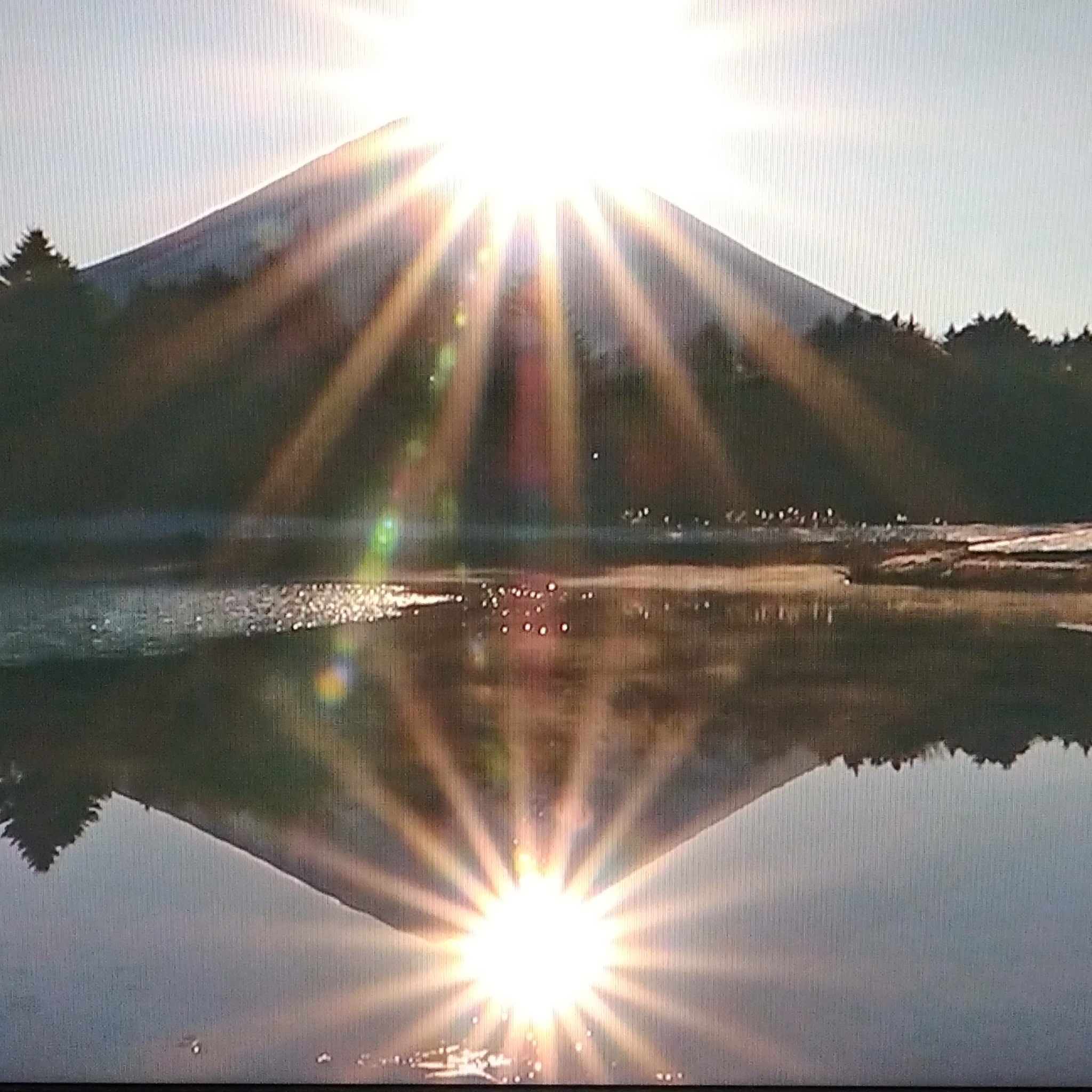 PhotoGrid_Plus_1767223402378