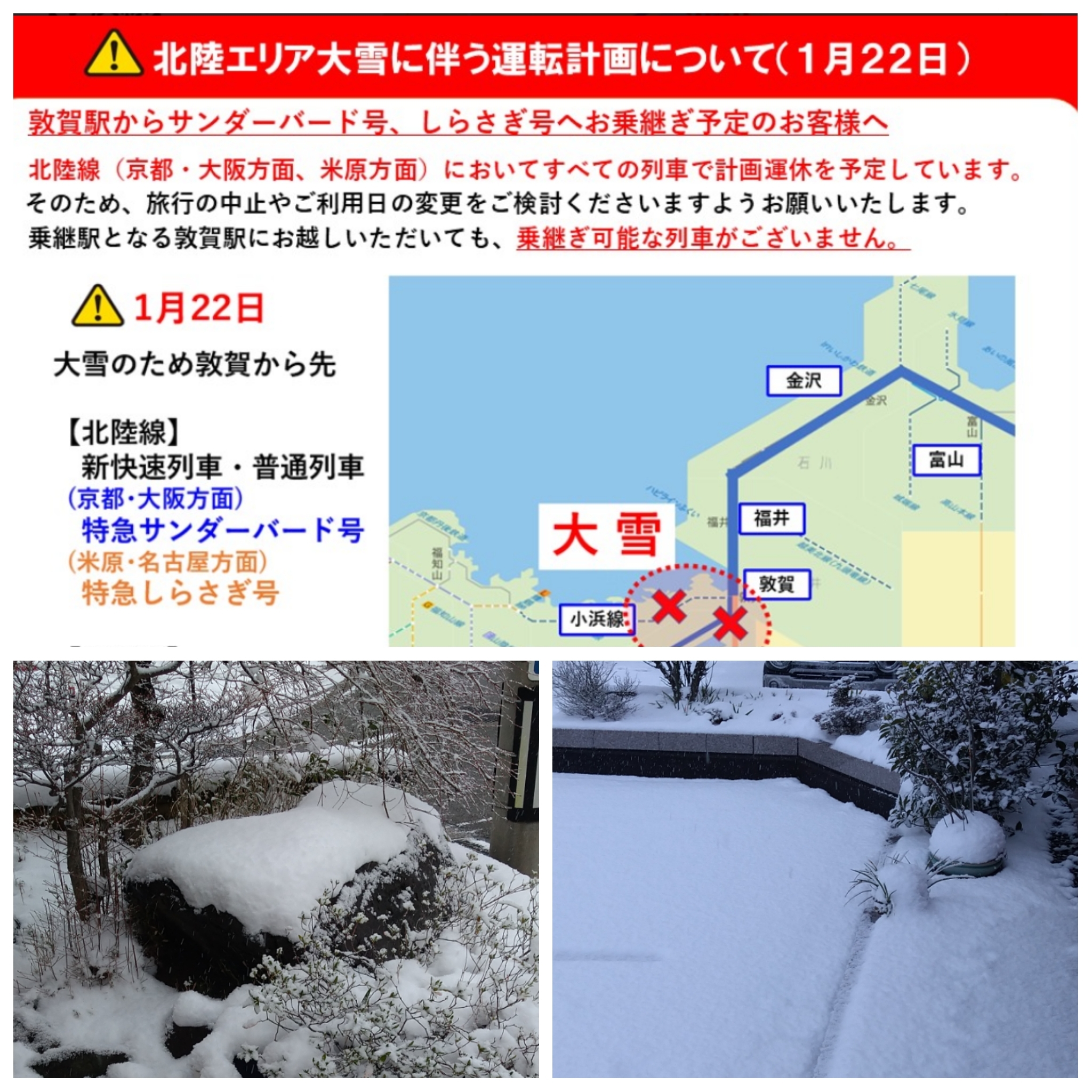 PhotoGrid_Plus_1769123323993