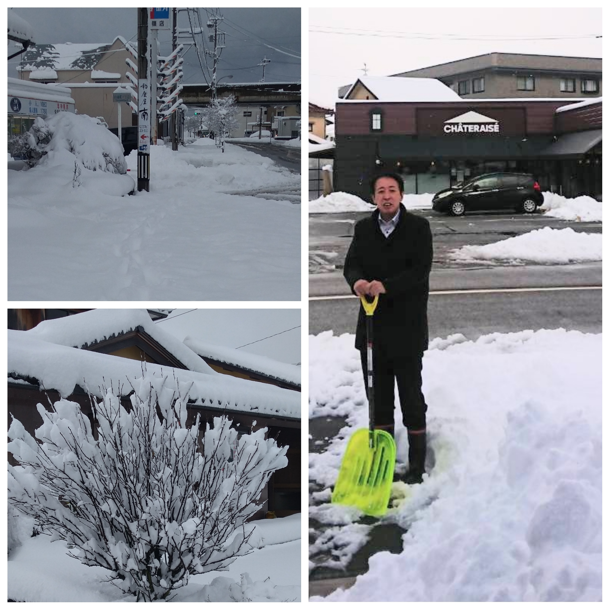 PhotoGrid_Plus_1769315020042