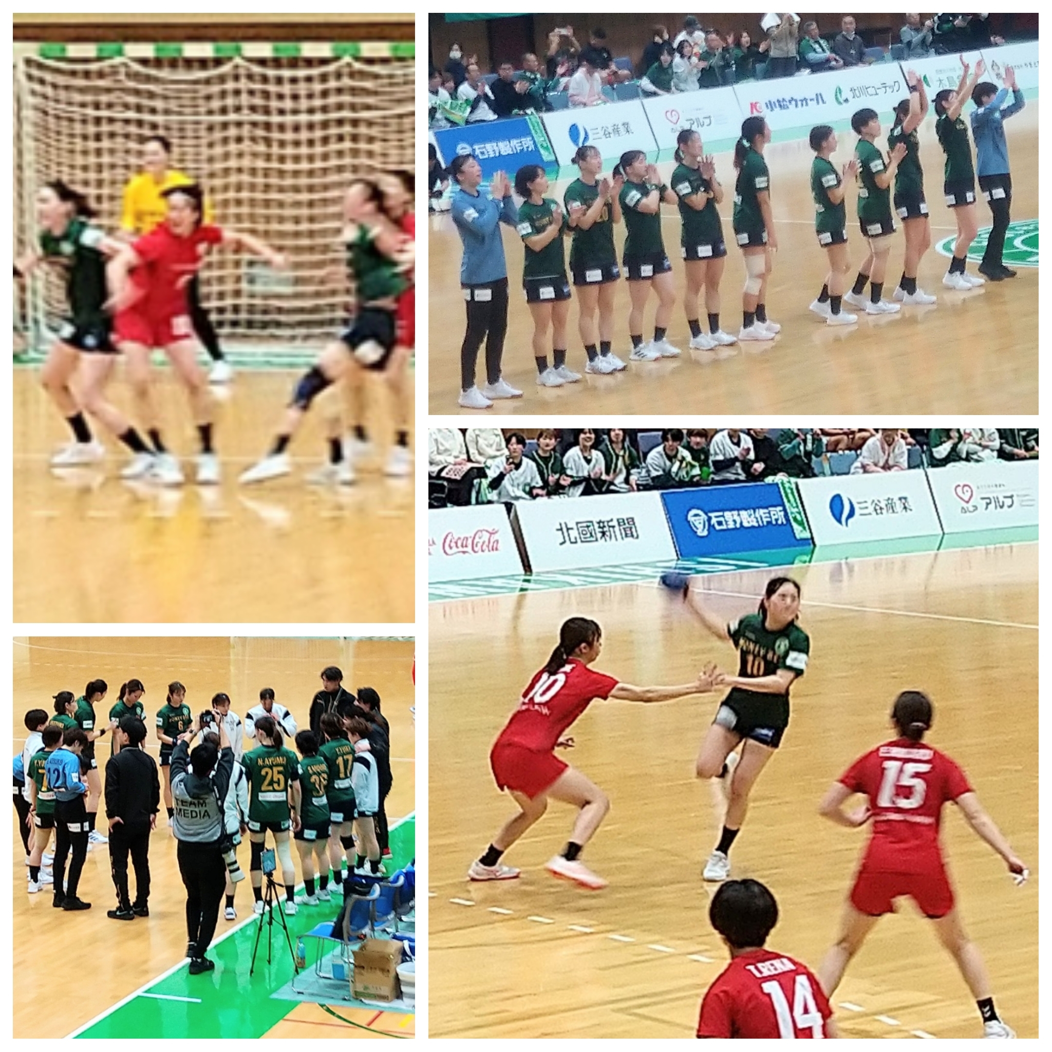 PhotoGrid_Plus_1771143008985