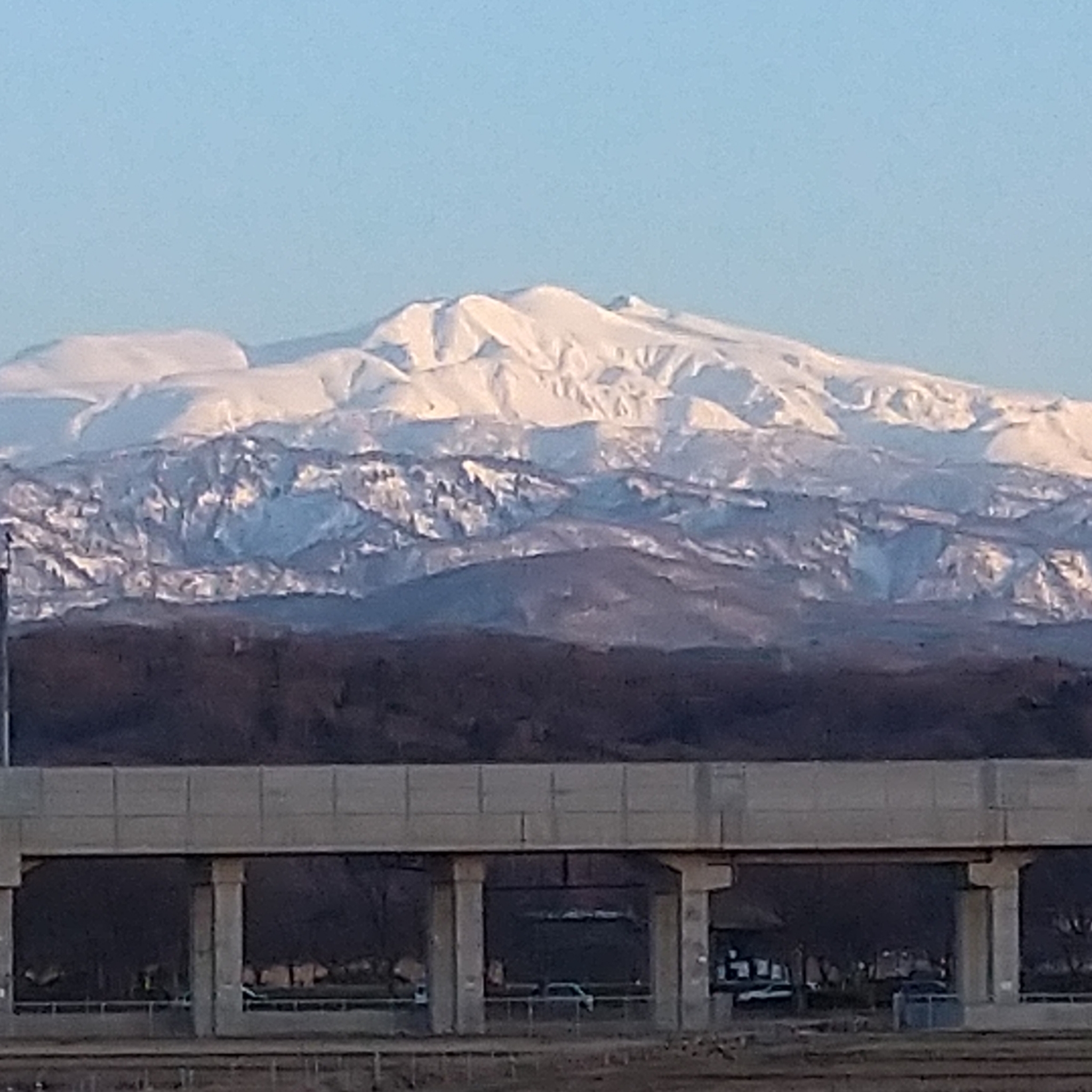 PhotoGrid_Plus_1771492617531