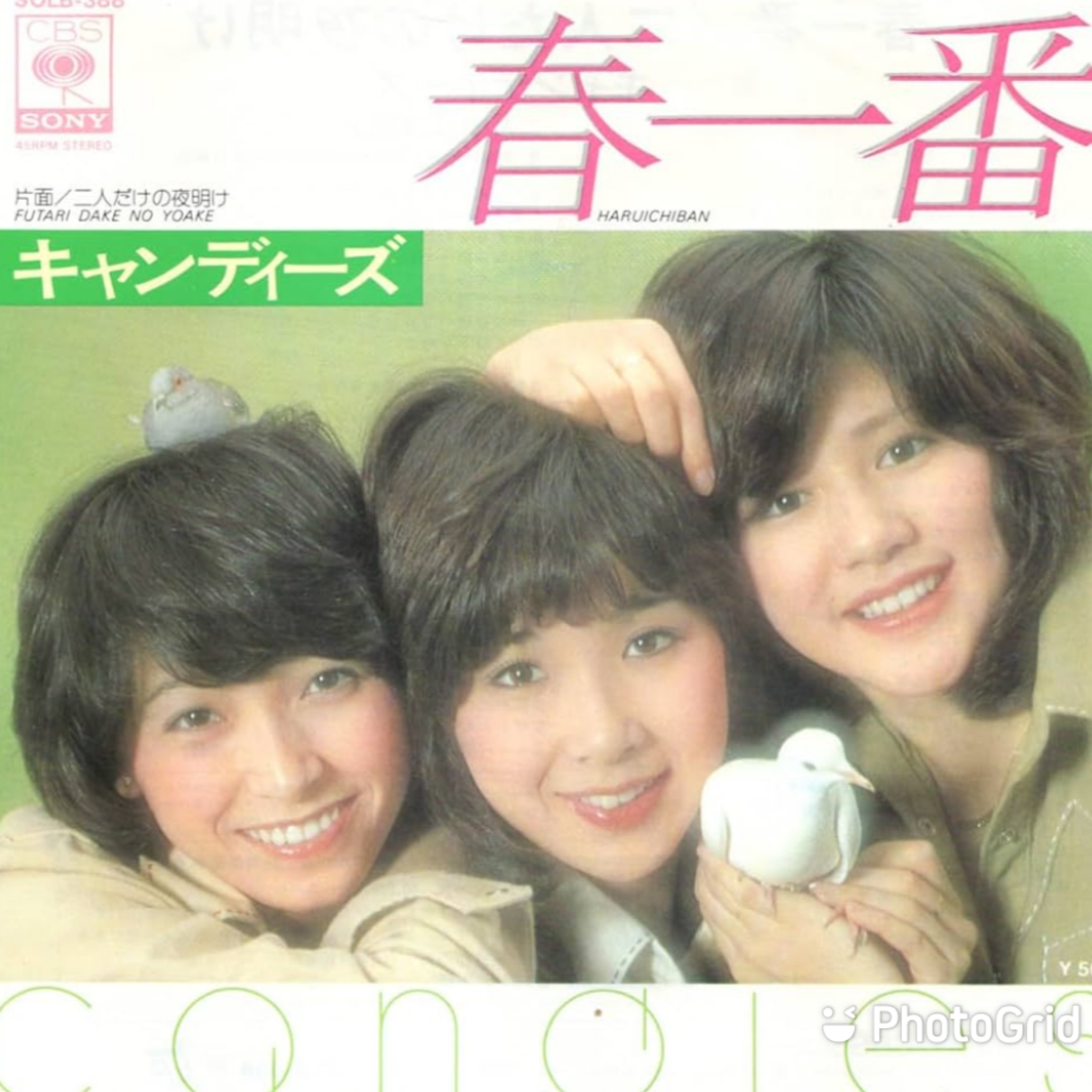 PhotoGrid_Plus_1772379599796