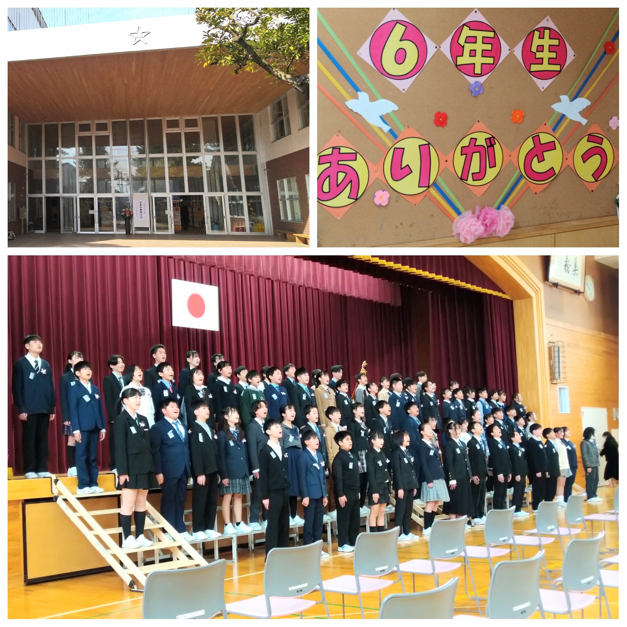 PhotoGrid_Plus_1773800675396~2