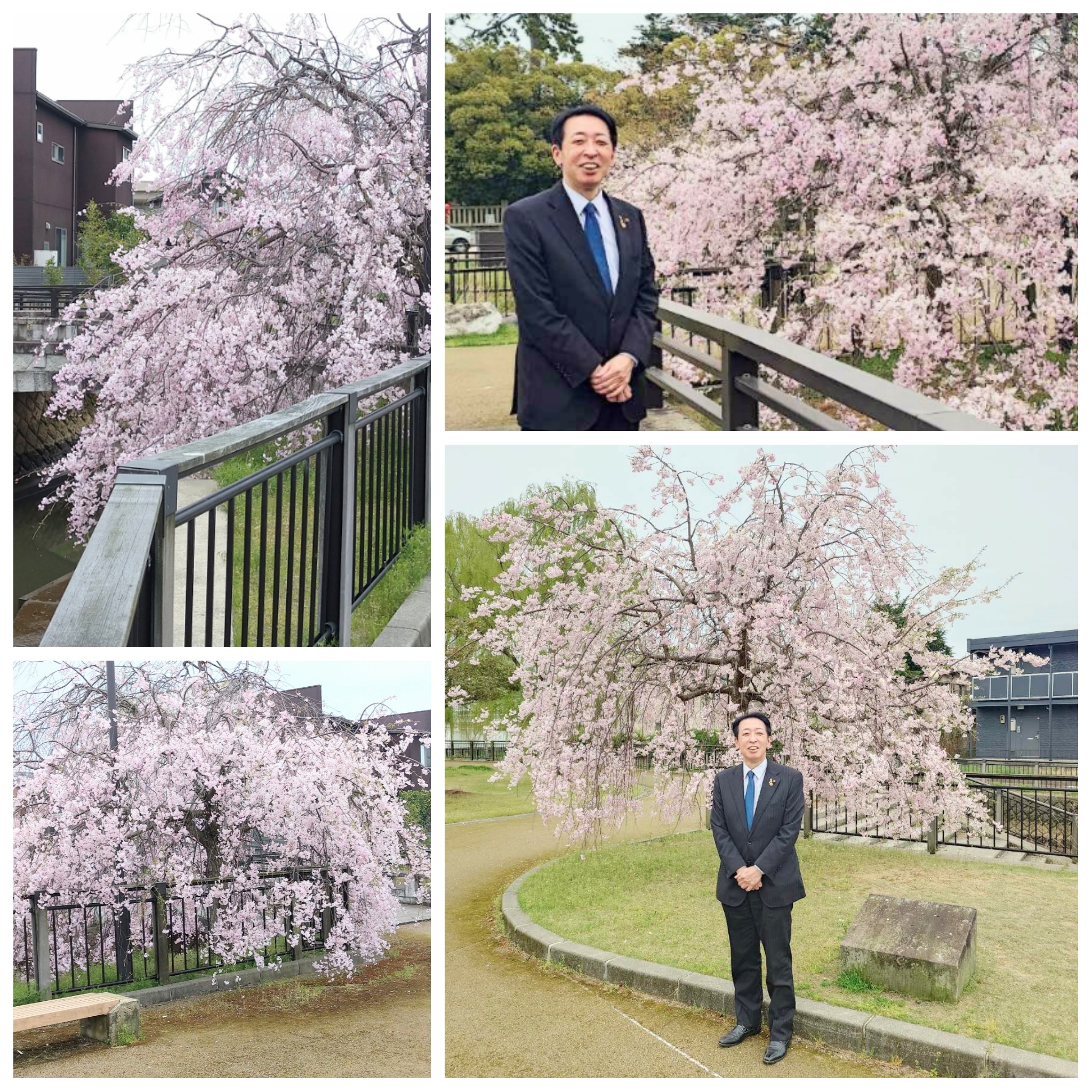 PhotoGrid_Plus_1776229764699