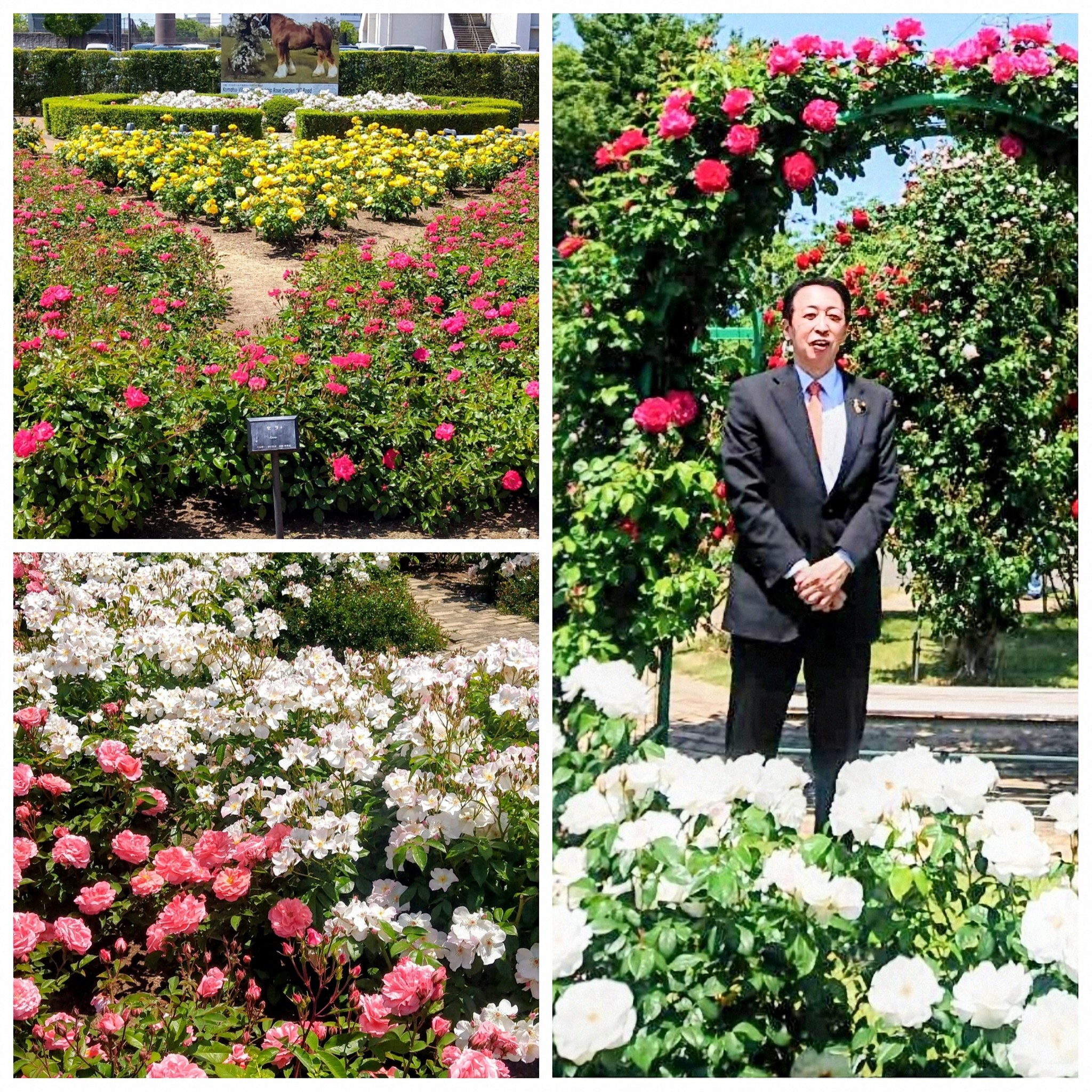 PhotoGrid_Plus_1778991718816~2